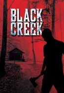 Black Creek poster image