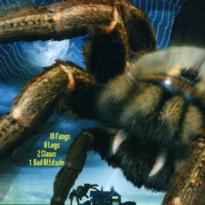 Arachnia (2003) photo 9