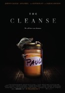 The Cleanse poster image