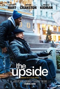 The Upside 2019 Rotten Tomatoes