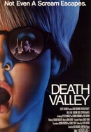 Death Valley poster image