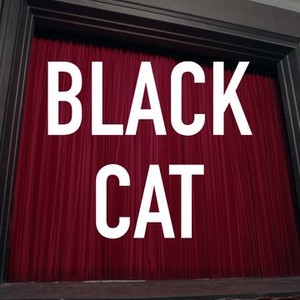 Black Cat photo 2