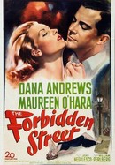 The Forbidden Street poster image