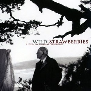 Wild Strawberries (1957) photo 18