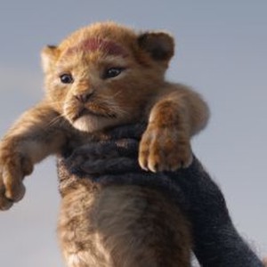 The Lion King photo 1