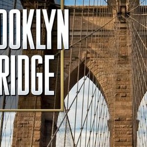 Ken burns brooklyn bridge netflix store