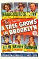 A Tree Grows in Brooklyn