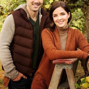 Harvest love top full movie online