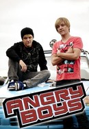 Angry Boys poster image