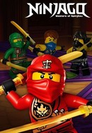 Ninjago: Masters of Spinjitzu poster image