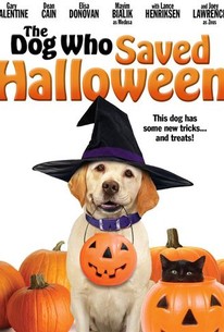 The Dog Who Saved Halloween (2011) | Rotten Tomatoes