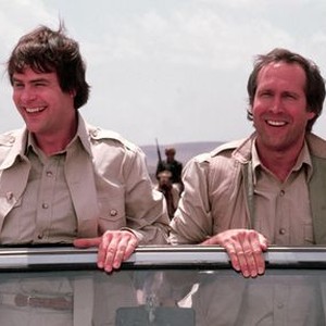 Image result for spies like us