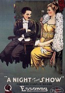 A Night in the Show poster image