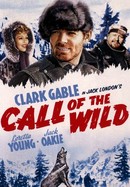 Call of the Wild poster image