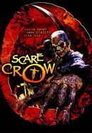 Scarecrow poster image
