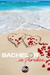 Bachelor in Paradise: Season 4 poster image