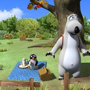 Bernard, The Polar Bear - Rotten Tomatoes