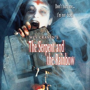 The Serpent and the Rainbow (1988) photo 5
