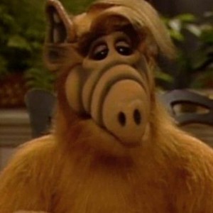 ALF: Season 4, Episode 21 - Rotten Tomatoes