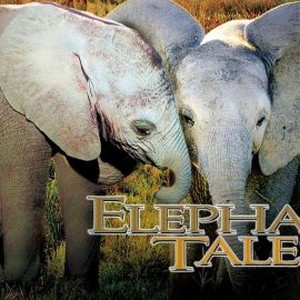 Elephant Tales photo 8