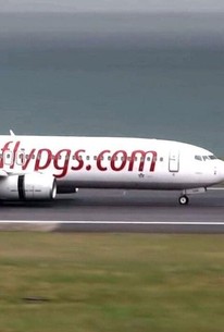 Planes Gone Viral Season 1 Episode 3 Rotten Tomatoes