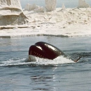 Orca (1977) photo 3
