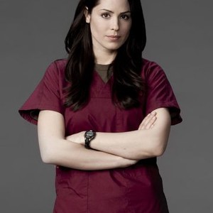Michelle Borth as Dr. Rebecca Gordon