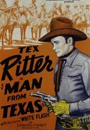 The Man From Texas poster image