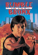 Rumble in the Bronx poster image