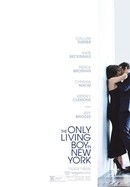 The Only Living Boy in New York poster image