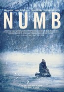 Numb poster image