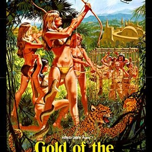 Gold of the Amazon Women (1979) photo 10