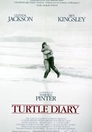 Turtle Diary poster image