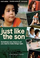 Just Like the Son poster image