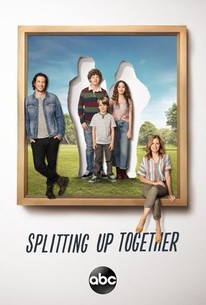 Splitting Up Together poster image
