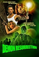 Demon Resurrection poster image