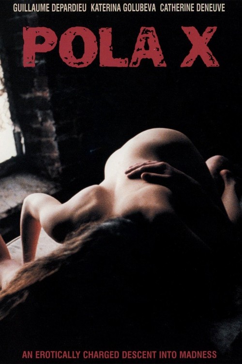 Pola X poster