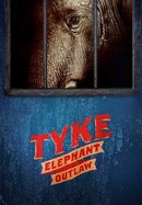 Tyke Elephant Outlaw poster image