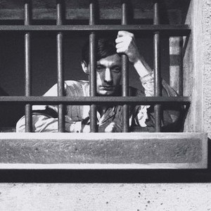 "A Man Escaped photo 14"