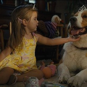 A scene from "A Dog's Journey." photo 2