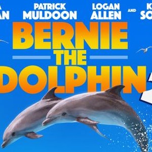 Bernie the Dolphin 2 photo 4