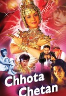 Chhota Chetan poster image