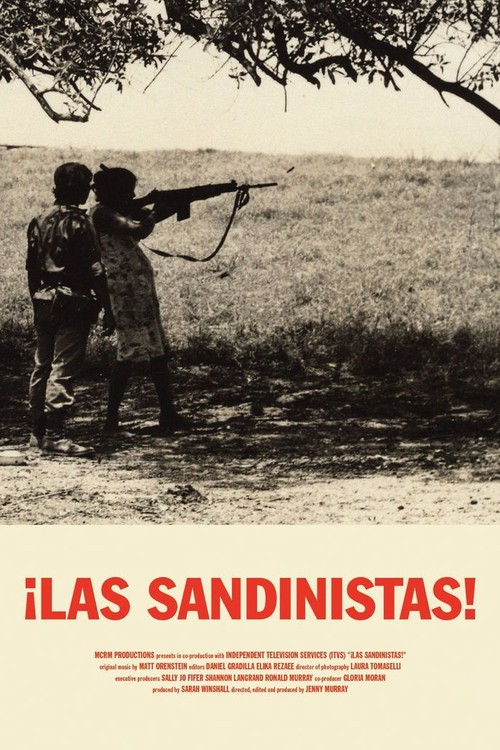 Las Sandinistas! poster