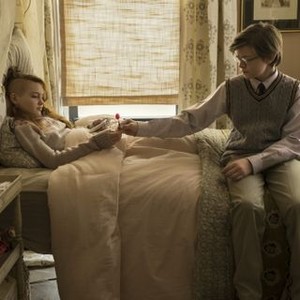 The Goldfinch - Rotten Tomatoes