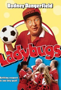 Ladybugs poster
