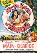 Ma and Pa Kettle at Waikiki poster image