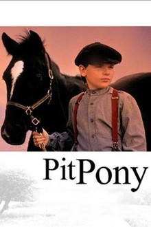 Pit Pony | Rotten Tomatoes