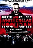 The Rise and Fall of a White Collar Hooligan poster image