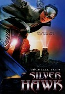 Silver Hawk poster image