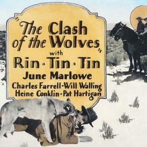 Clash of the Wolves photo 1